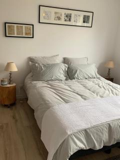 maison de charme avec jardin,pacé,proche de Rennes - 9