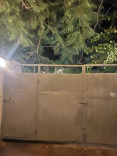 pasha nungwi zanzibar - 0