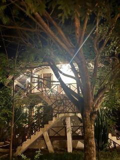 pasha nungwi zanzibar - 9