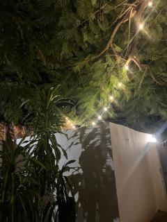 pasha nungwi zanzibar - 7