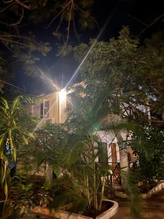 pasha nungwi zanzibar - 6