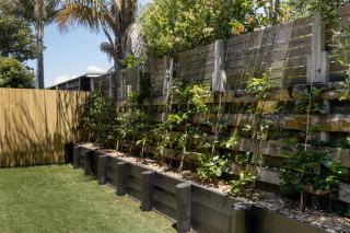Black Beach House - Mount Maunganui - 8