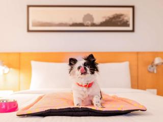 ibis Chennai City Centre - An Accor Brand - 5
