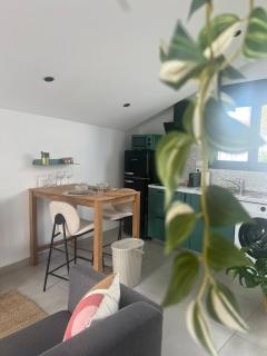 T2 cosy au calme , proche Dax - 9