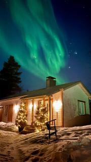 Luxury City Cottage - 9