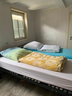 Brakel Ferienwohnung - 3