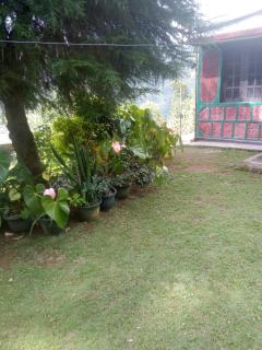 Sivagee Guesthouse - 5