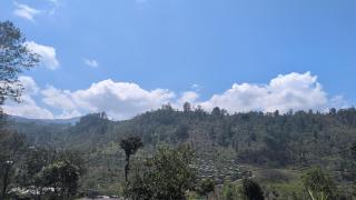 Sivagee Guesthouse - 3