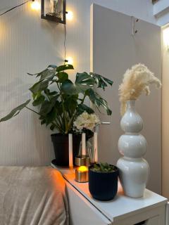 Apparemment cosy près du lac - 7