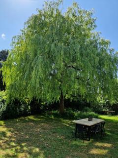 Worth House Bed and Breakfast - 7