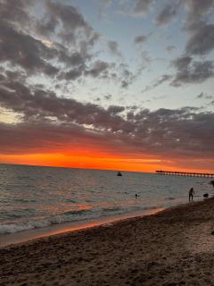 Island of Venice Beach, pet friendly! - 1