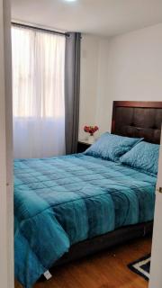 Departamento 4 personas, sector Peñuelas - 6