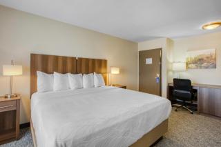Best Western North Phoenix Hotel - Phoenix - 7