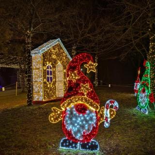 La casa dei mici - 1