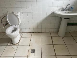 Friendship house - 6