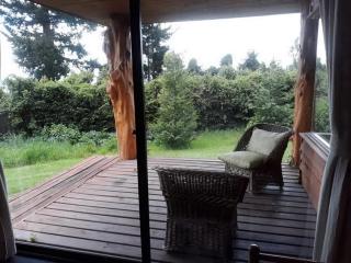 Cabanas Mapulauquen - 1