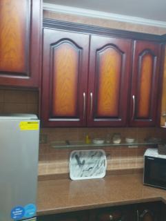 شقه اطلاله رئيسي جامعه الدول راقيه - 5