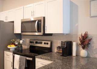 New! The Vibe Med Center Apartments - Central Houston - 5