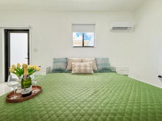 Luxury Suite Studio With Kitchen & Spa Shower - 0