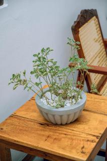 CosyNsurf Madiha - 4