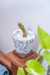 CosyNsurf Madiha - 3