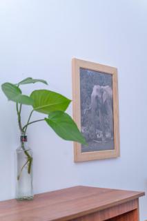 CosyNsurf Madiha - 1