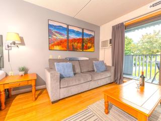 Ski in, Ski out Studio Smugglers' Notch Resort - 8