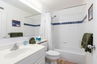 Alii Lani V202 condo - 5