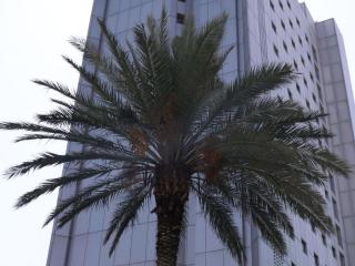Novotel Monterrey Valle - 1