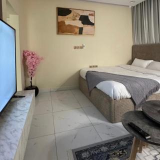 شقه فندقية بالرياض حي المناخ - 4