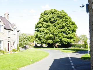 Sweet Pea Cottage - 3