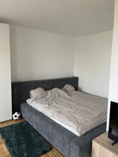 Cosy Flat in Vienna - 1