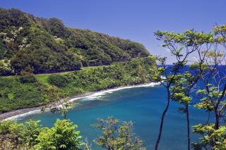 Napili Shores E240 · NS E240 Beautiful Condo w AC Close to Napil - 2