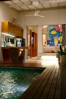 plush pool villa - Ubud - 0