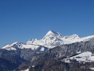Appartement rez-de-jardin avec terrasse exposée et parking - FR-1-505-235 - 1