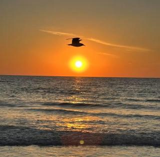 Twin Oaks Coastal Luxury - 0