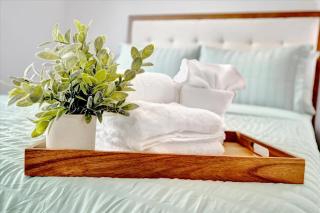 4br3ba Modern Sleeps 10 8 Minutes to Raymond James - 0