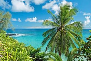 Valley Isle 208 · VI208 Remodeled Maui OceanFront 2BD w Ocean Vi - 5
