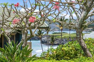 Kapalua Bay Villas 20G4 · KBV 20G4 Updated OceanFront for Whale - 5