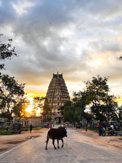 Reddy home stay - 0