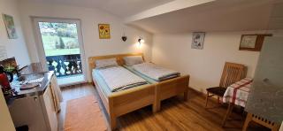 Sonniges Appartement und Gästezimmer, Haus Borowiec - 9