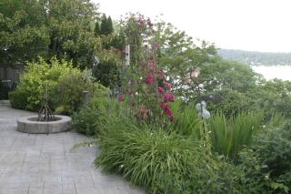 3 bed Lake Sammamish Waterfront + Peloton Bike - 5