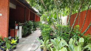 Trattorias Tranquil - Varkala - 5