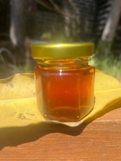 Serene Farmhouse with Lake Views - 7