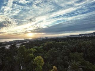 Sofitel Algiers Hamma Garden - 2