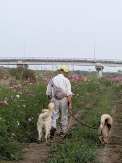 民泊サライ七城 - 3