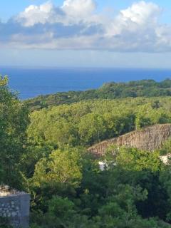 Green Bowl Beach Private Villa - 2