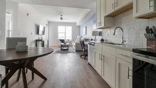 Landing Amazing 1BD Pool Gym - 2