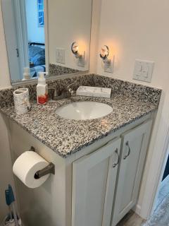 Palm Springs Pup - 4