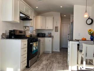 Palm Springs Pup - 8